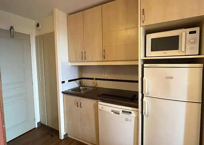 Duplex 3 Pieces Avec Solarium Et Acces Piscines - Fr-1-504-668 Apartment *